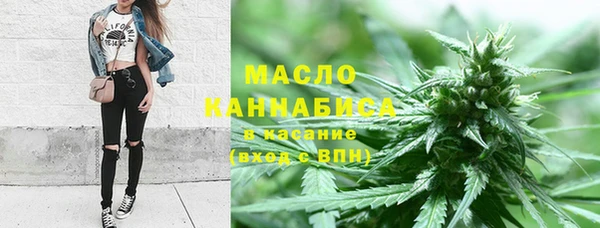 молекула духа Заводоуковск