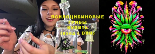 молекула духа Заводоуковск